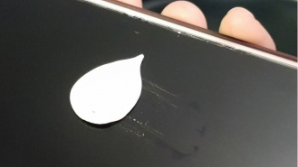 初階課程 乾燥和修整