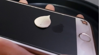 初階課程 乾燥和修整