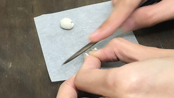 初階課程 乾燥和修整