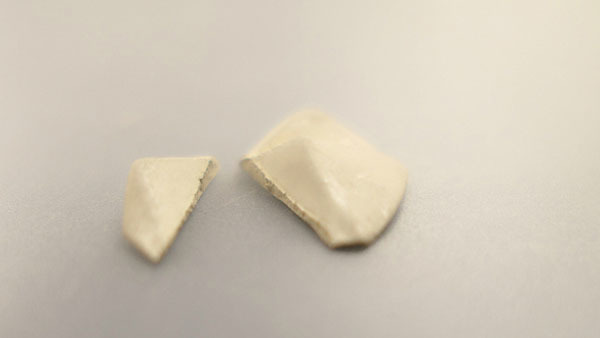 初階課程 乾燥和修整