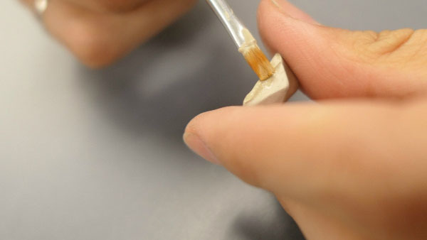 初階課程 乾燥和修整