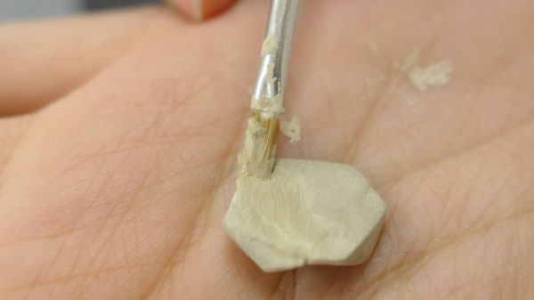 初階課程 乾燥和修整