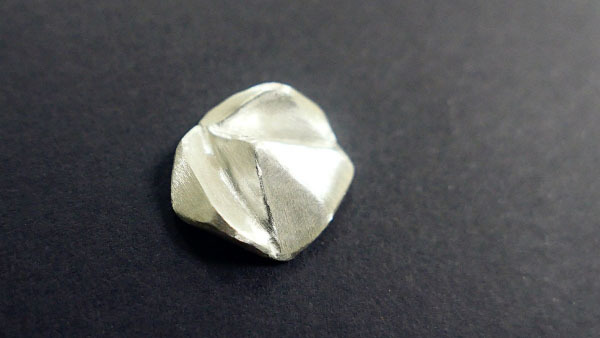 初階課程 乾燥和修整