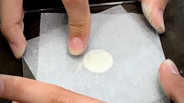 初階課程 造型 寵物