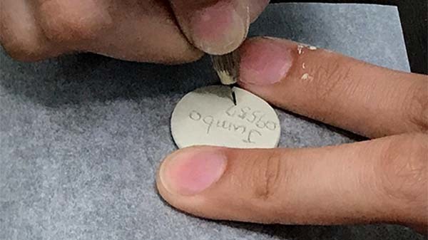 初階課程 造型 寵物