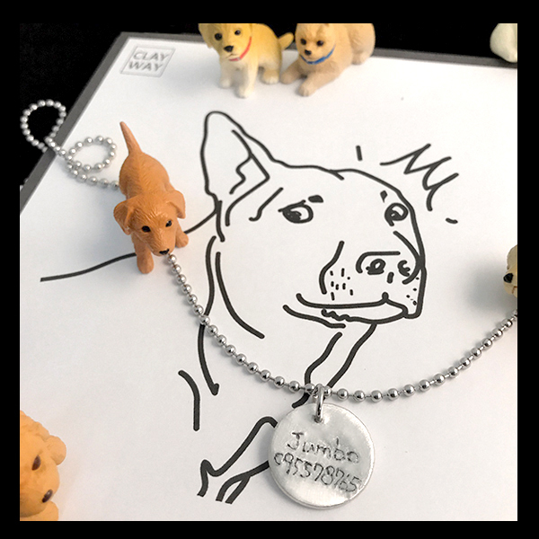 初階課程 造型 寵物