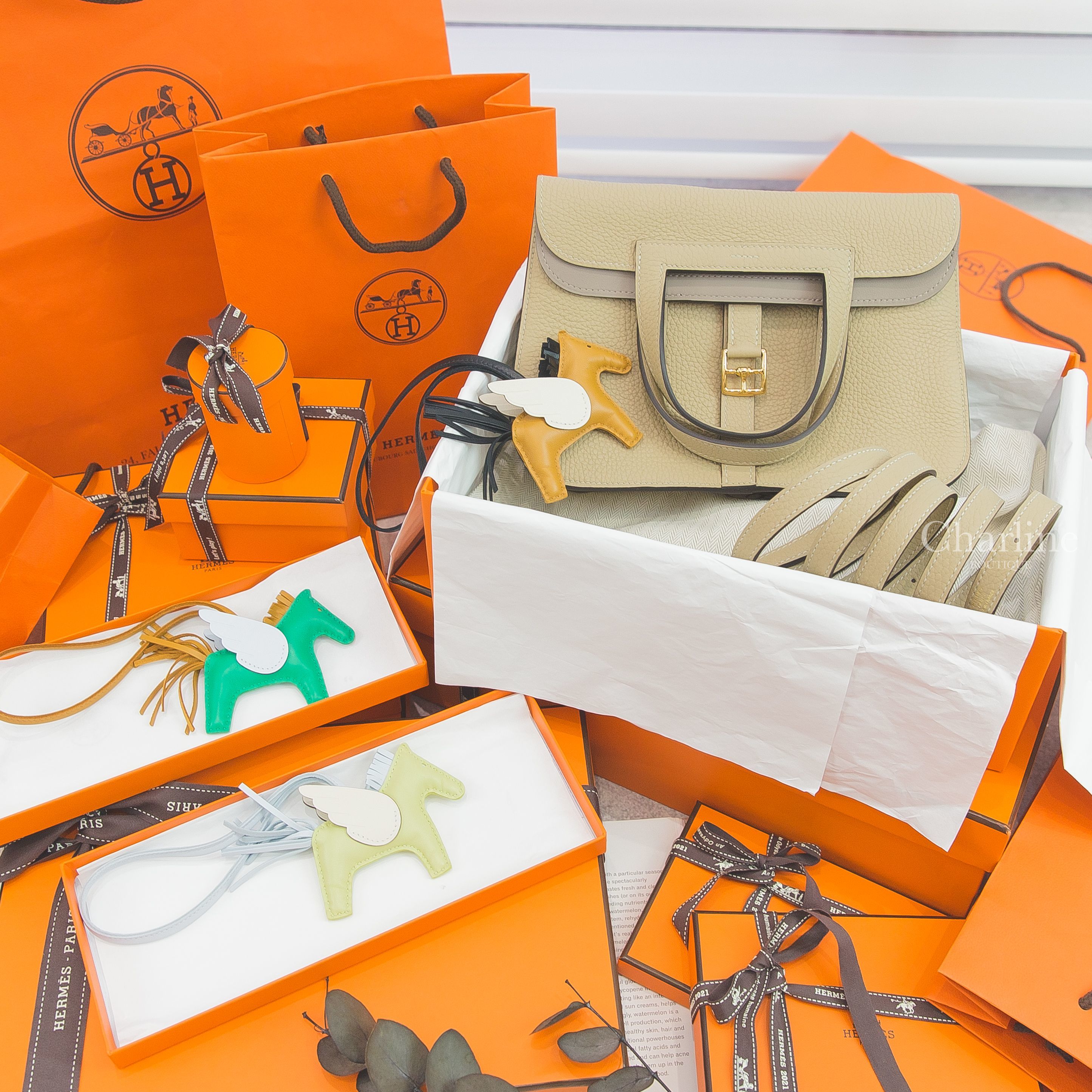 Hermès Halzan 風衣灰拼大象灰內裡金釦手提肩背包,Hermès Rodeo PM Pegase 芝麻黃/黑色/奶油白飛馬吊飾,薄荷綠/芝麻黃/霧藜藍飛馬吊飾,嫩芽黃/霧藜藍/奶油白飛馬吊飾-Charline Boutique 精品代購