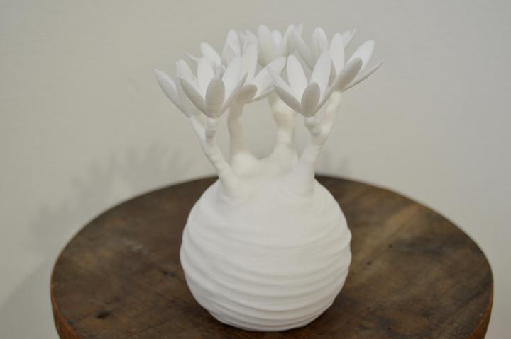 日本製 3D PRINT 象牙宮擺設 | 白化版 M 【Lobindon】