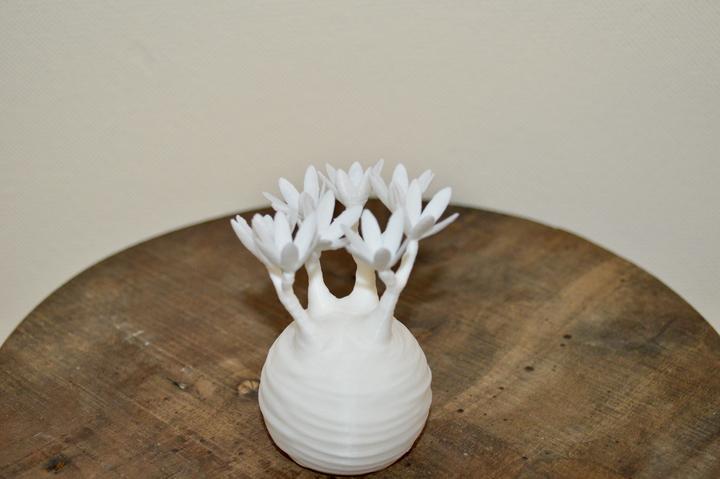 日本製 3D PRINT 象牙宮擺設 | 白化版 S 【Lobindon】