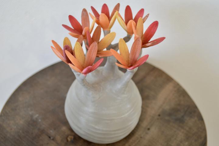 日本製 3D PRINT 象牙宮擺設 | 紅葉版 M 【Lobindon】