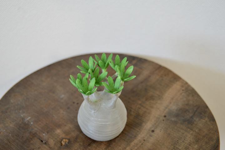 日本製 3D PRINT 象牙宮擺設 |綠葉版 S 【Lobindon】