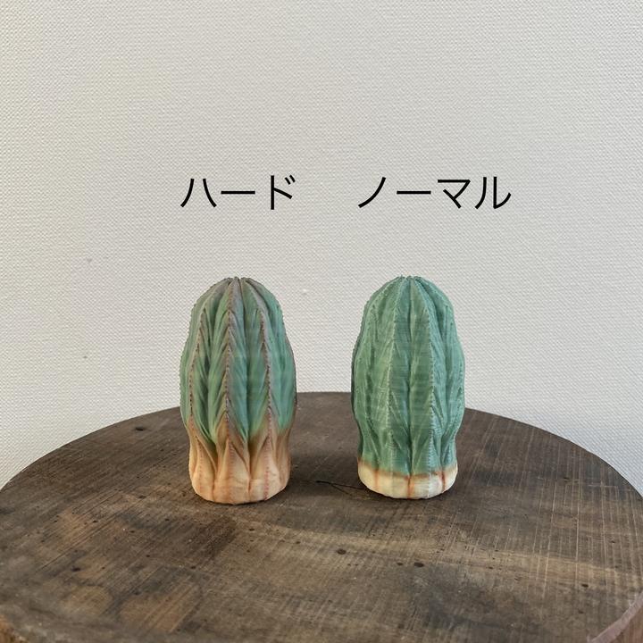 日本製 3D PRINT 多肉植物擺設 | 迷你版 L 號【Lobindon 】