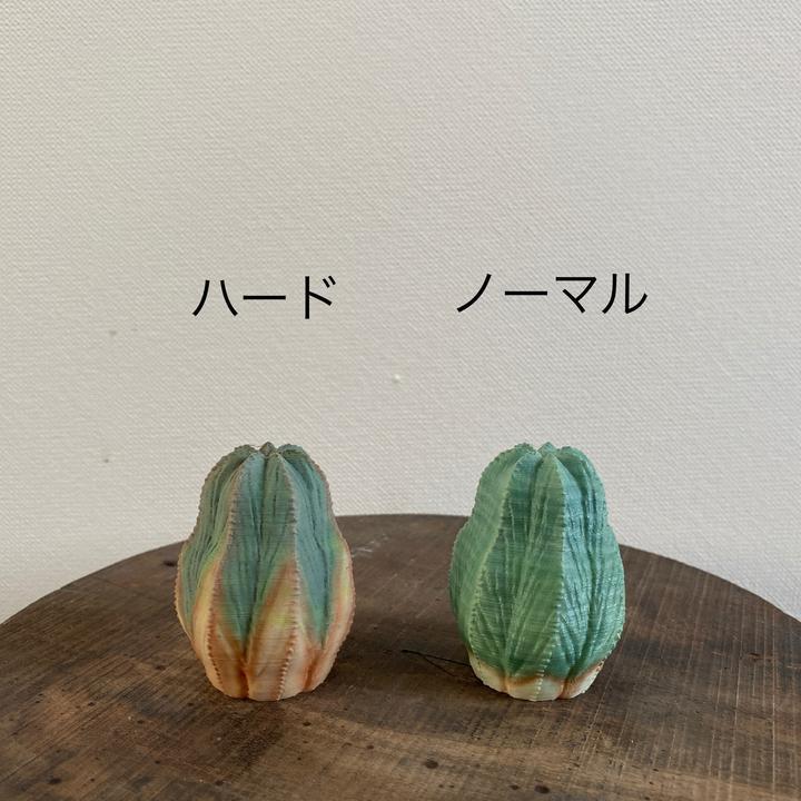 日本製 3D PRINT 多肉植物擺設 | 迷你版 M號【Lobindon 】