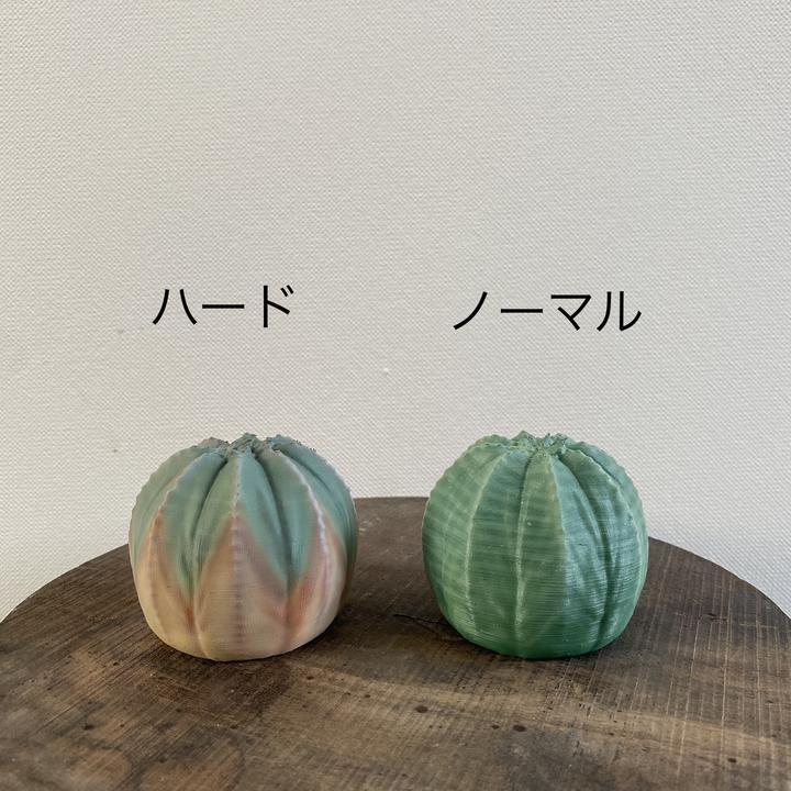 日本製 3D PRINT 多肉植物擺設 | 中型版 S 號【Lobindon 】