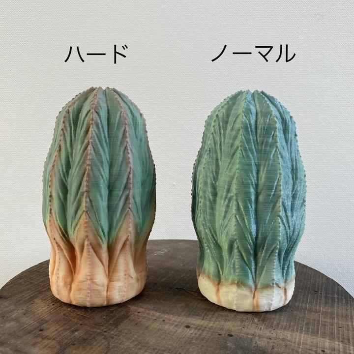 日本製 3D PRINT 多肉植物擺設 | 中型版 L 號【Lobindon 】