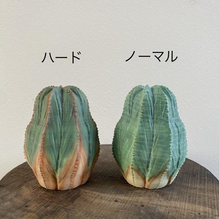 日本製 3D PRINT 多肉植物擺設 | 中型版 M 號【Lobindon 】