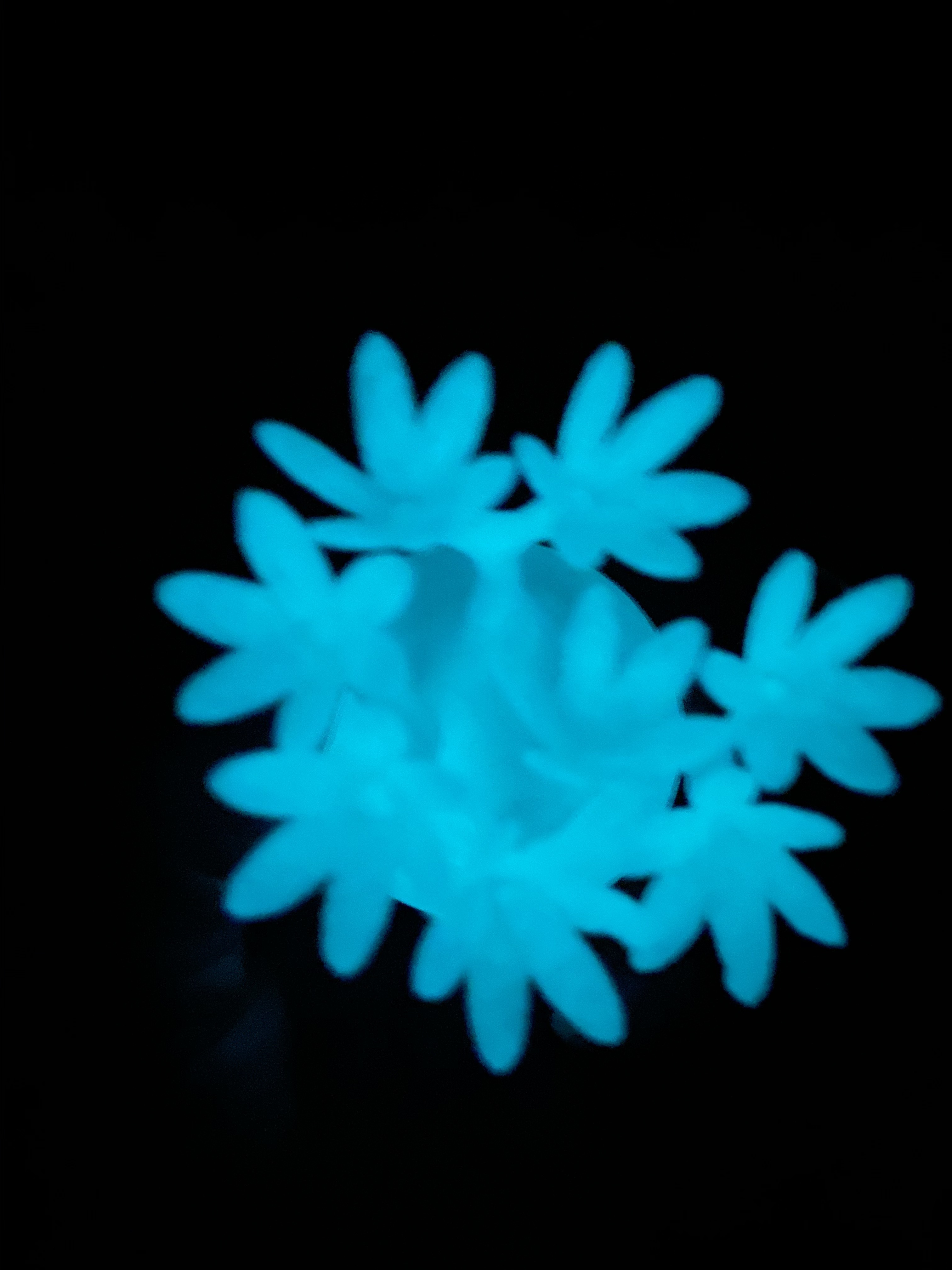 日本製 3D PRINT 象牙宮擺設 | 青光版 M 【Lobindon】