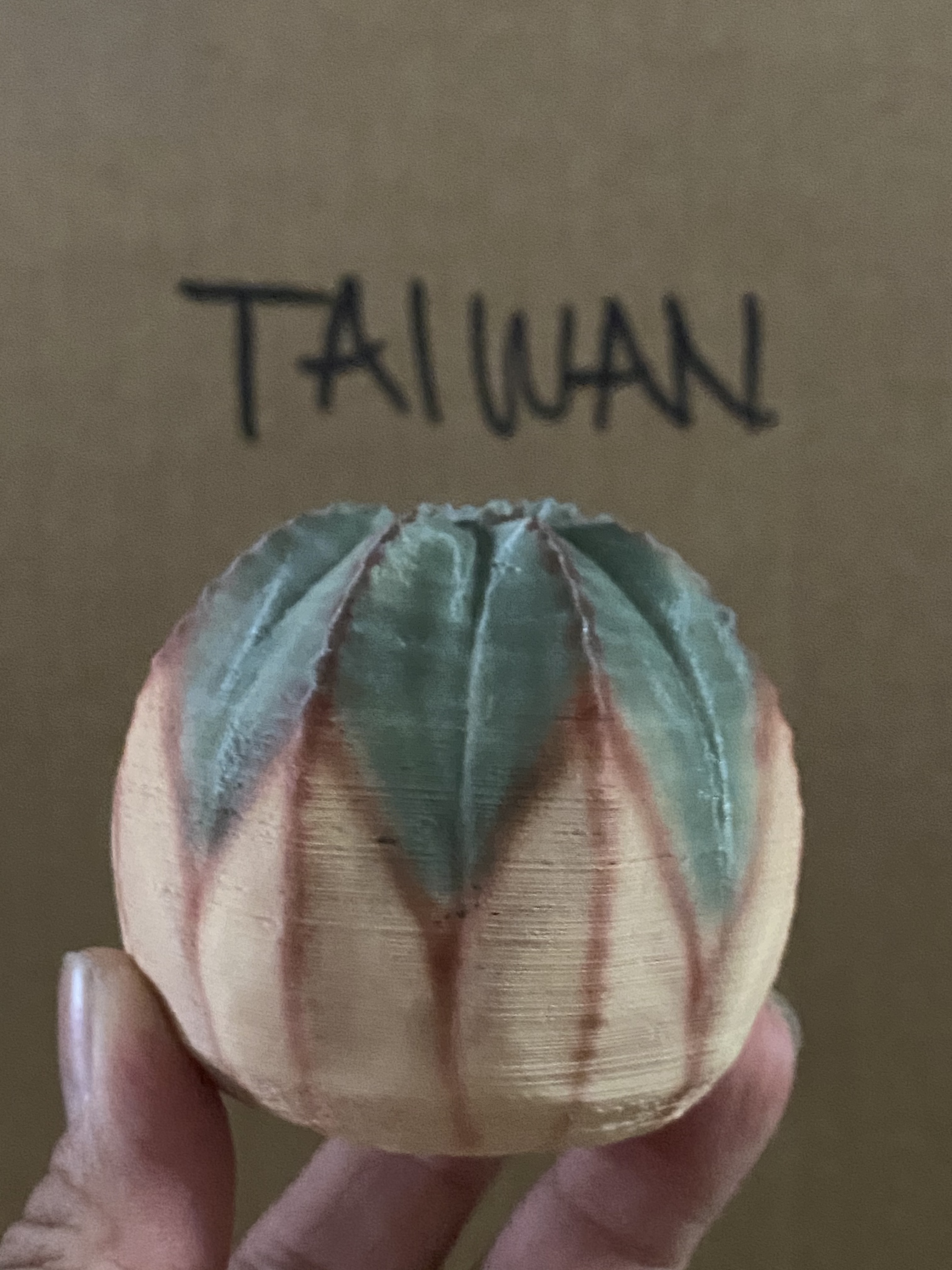 日本製 3D PRINT 多肉植物擺設 | 中型版 S 號【Lobindon 】