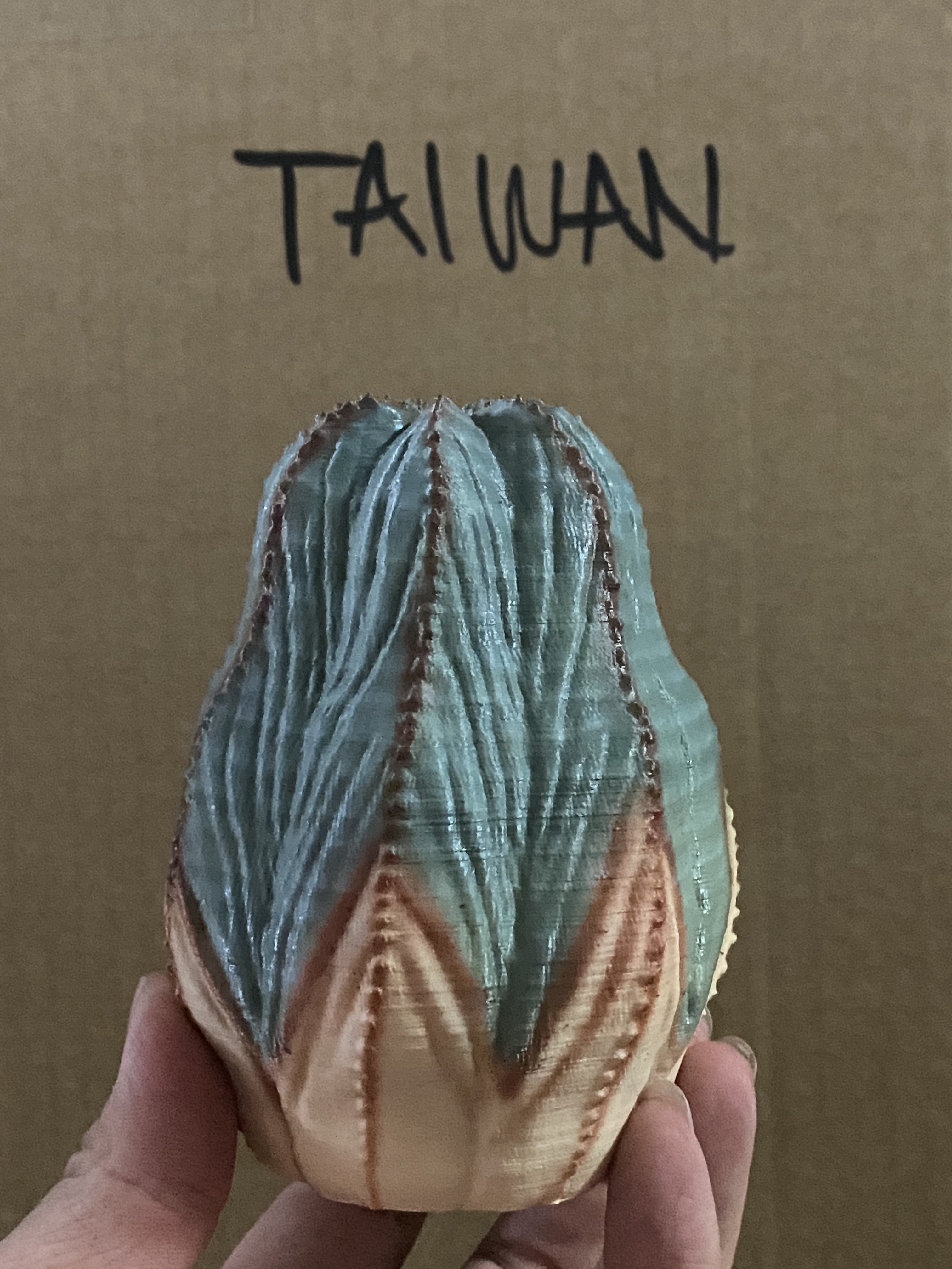 日本製 3D PRINT 多肉植物擺設 | 中型版 M 號【Lobindon 】