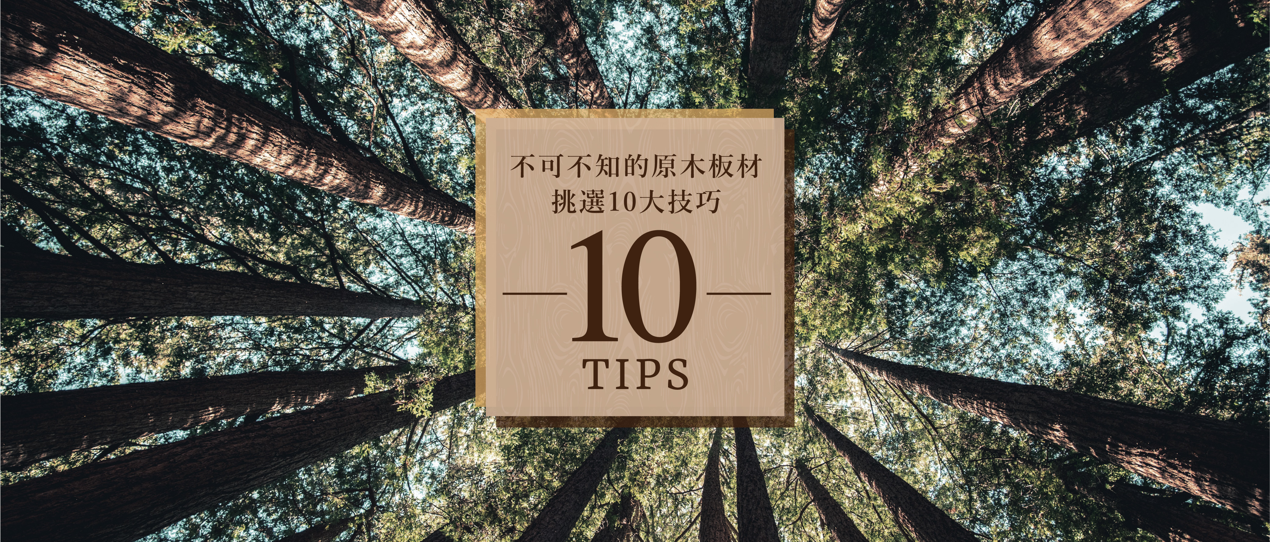 原木家具,原木家具工廠,原木家具推薦,原木家具工廠直營,原木家具保養,原木家具缺點,原木家具台北,原木家具品牌,原木家具發霉,原木家具訂製,實木家具,實木家具推薦,實木家具工廠,實木家具品牌,實木家具保養,實木家具缺點,實木家具店,實木家具甲醛