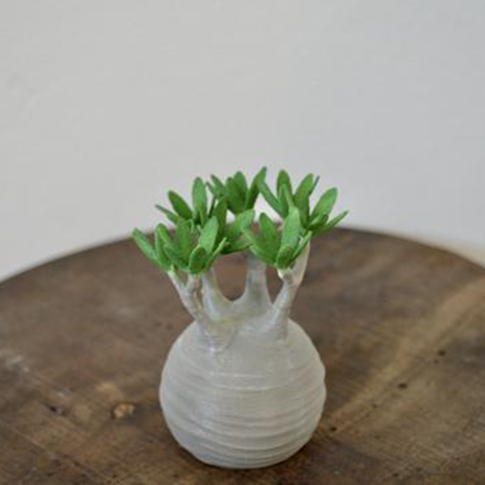 日本製 3D PRINT 象牙宮擺設 |綠葉版 S 【Lobindon】