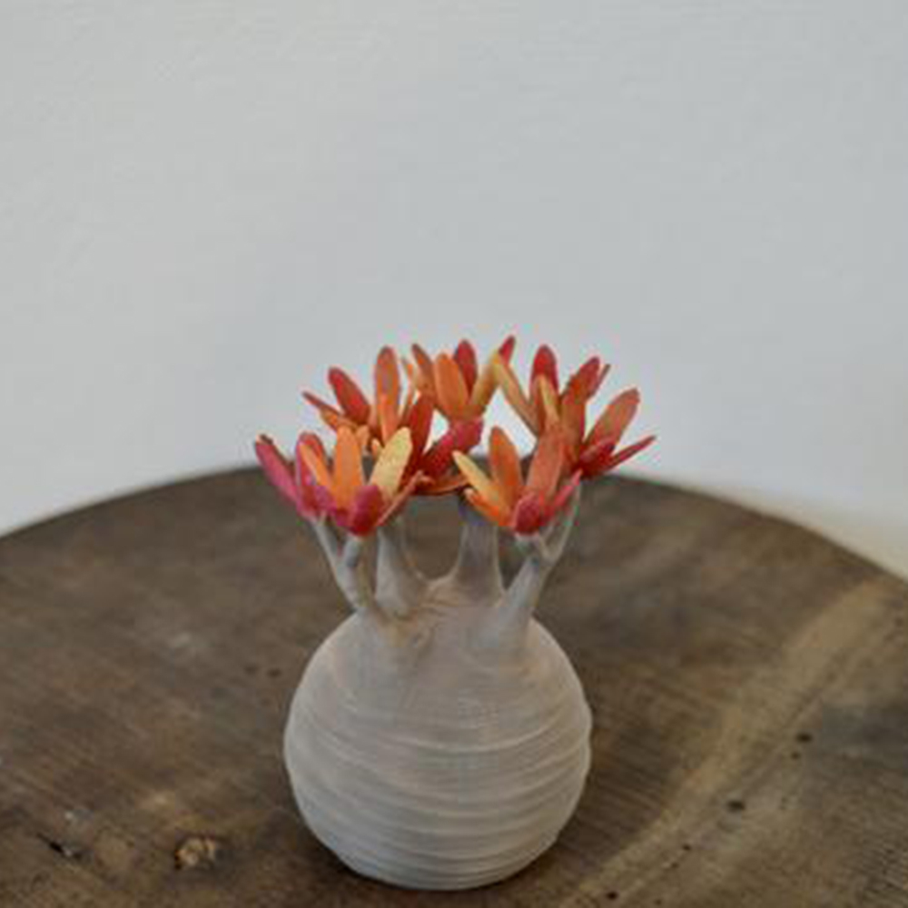 日本製 3D PRINT 象牙宮擺設 | 紅葉版 S【Lobindon】