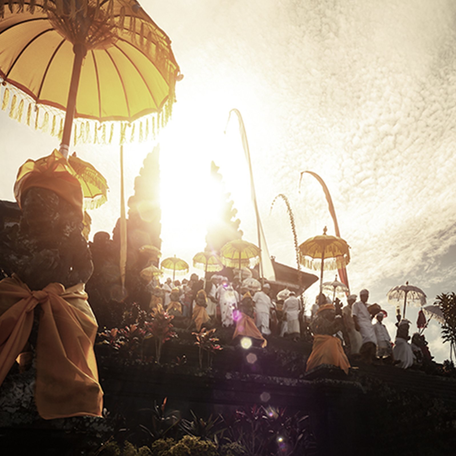 Sandal Wood 檀香 木芯蠟燭 - AYDRY & Co.