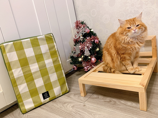 [寵物] LIFEAPP X AFU 聯名款迷你綠格子床架組 ♥ 100%天然原木打造的專屬寵物床 ♥ 如何當個好貓奴 愛貓就要給貓最好的 ♥ ヽ(･ω･｀)