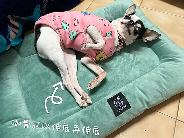 長腿咪逆熙個蹦