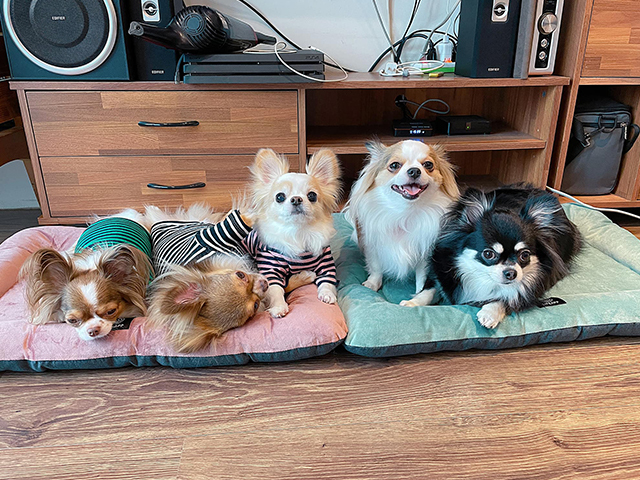 Gutwa！吉爺的霸道人生