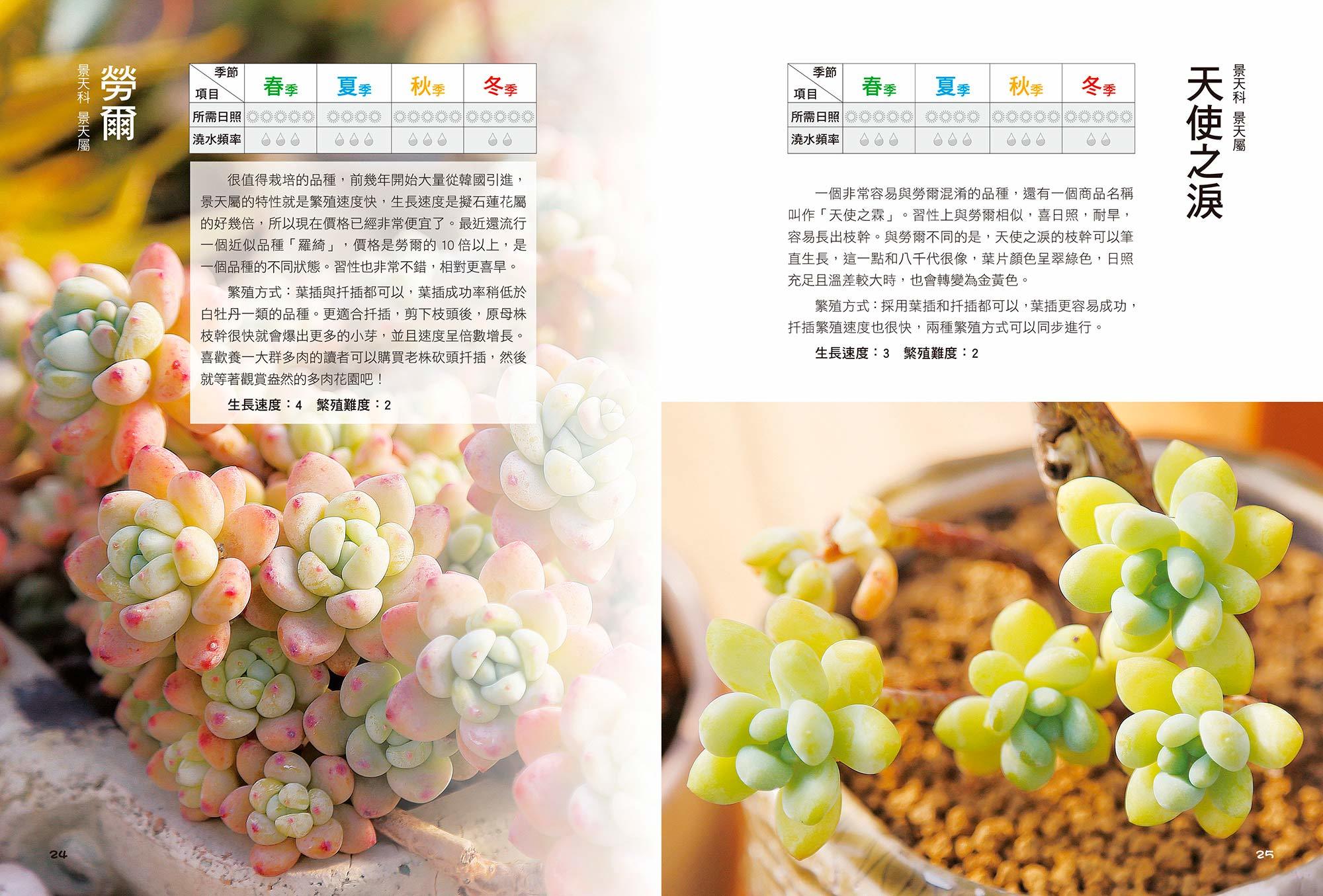 [任選五本$999] 四季131種多肉玩個夠