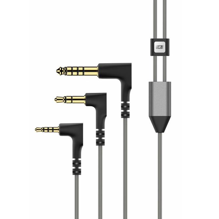 Sennheiser IE 900 In-Ear Headphones