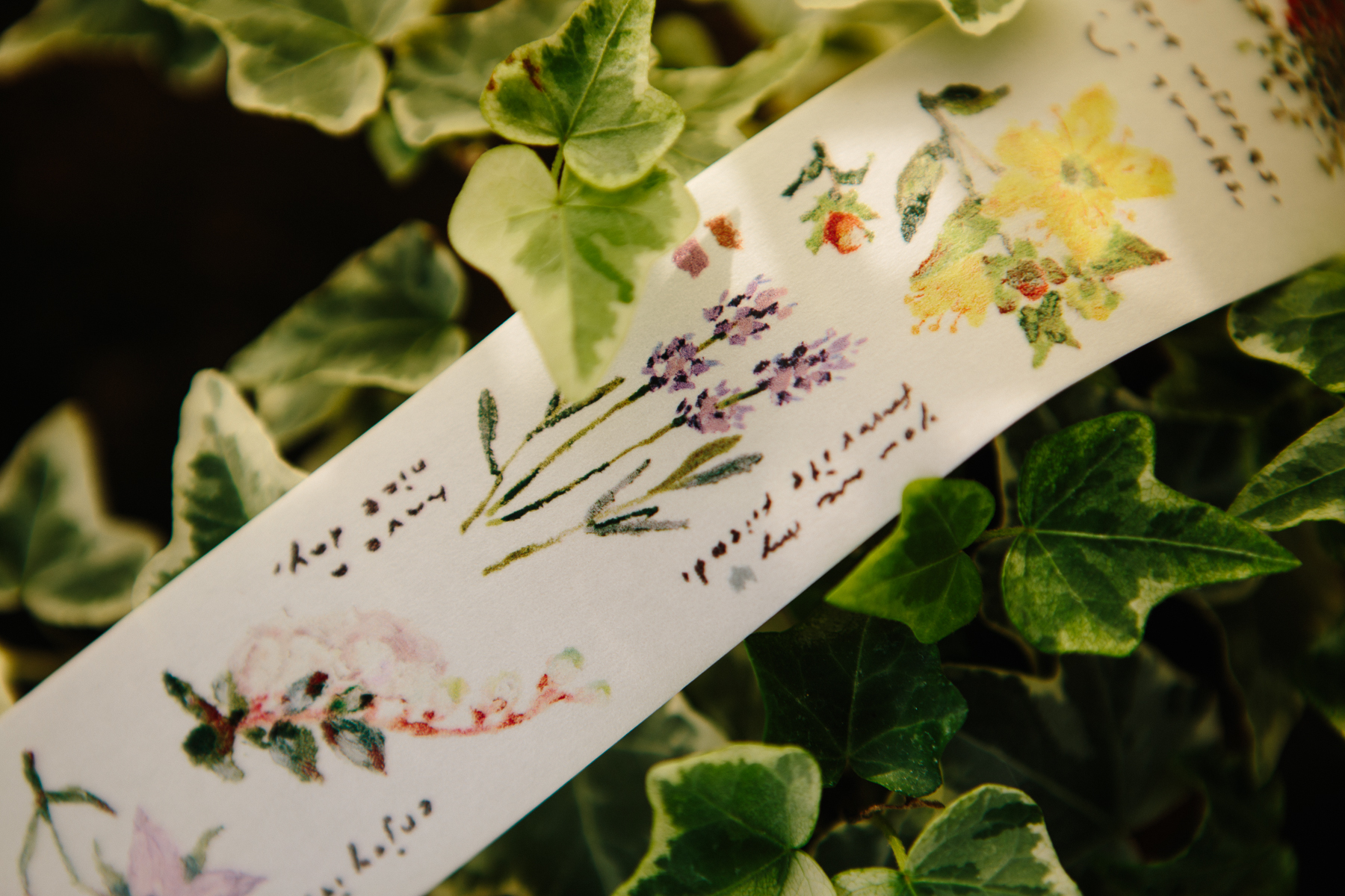 OURS森林好朋友  花的耳語 和紙膠帶