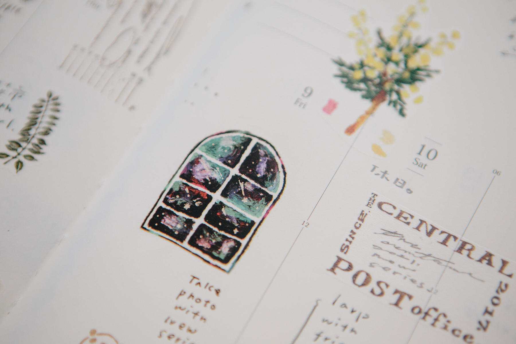 OURS森林好朋友 深邃星空  轉印貼紙