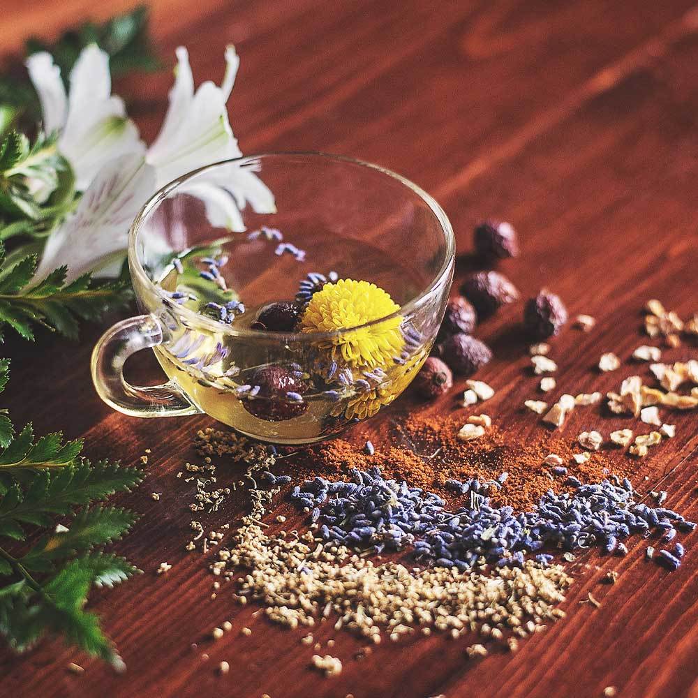 居家感染預防對策