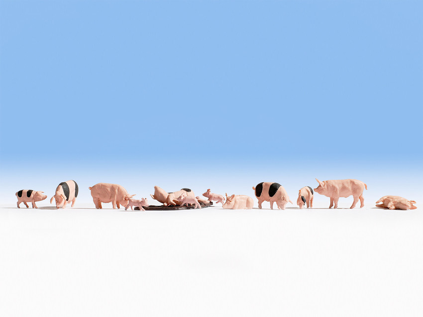 Noch 15712 HO scale, Pigs