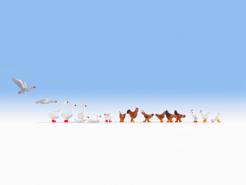 Noch 15772 HO scale, Chicken and Geese