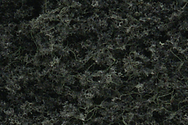 Woodland TR1105 Tree Kits 24 Pines