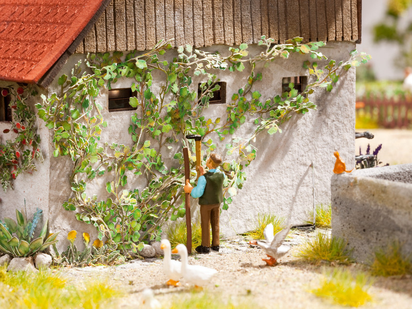 Noch 14132 HO規 Virginia creeper 藤蔓