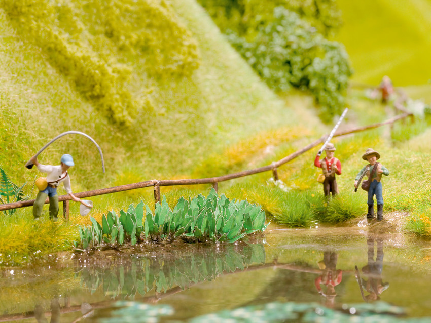 Noch 14104 HO Water Knotgrass