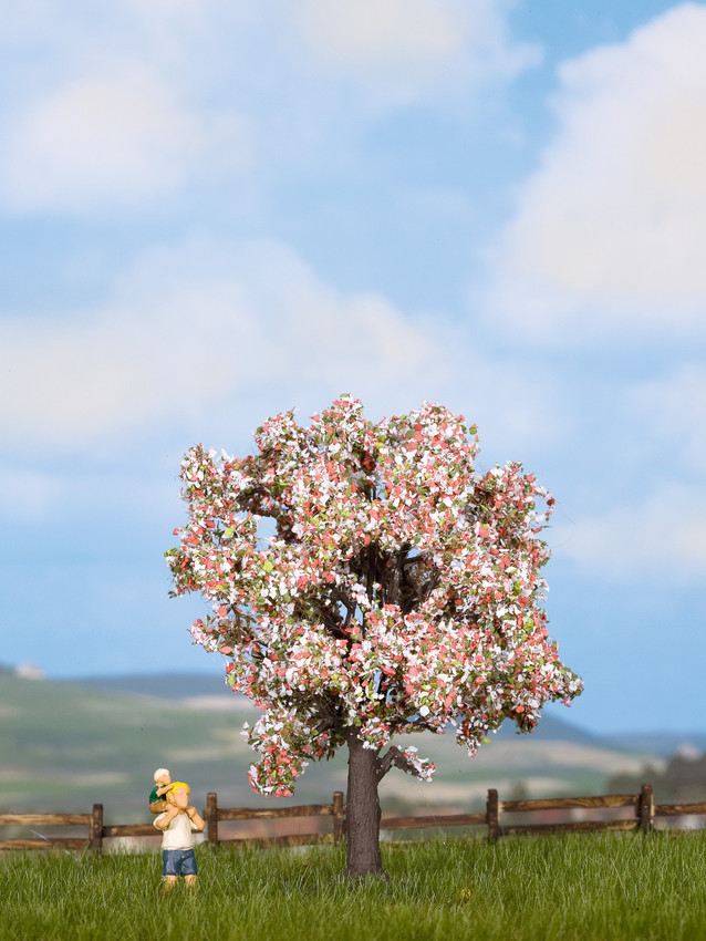 Noch 21570 Fruit Tree  flowering