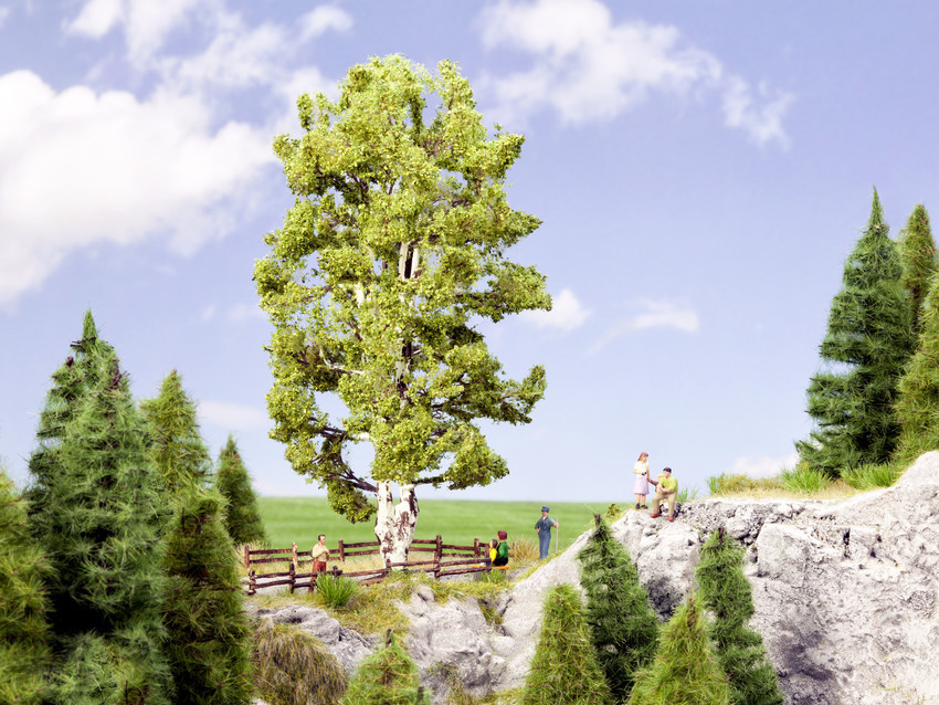 Noch 21641 HO scale, Double-Trunk Birch  19cm high