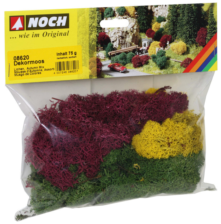 Noch 08620 Lichen.75g