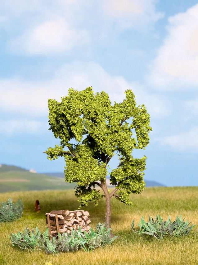 Noch 21600 Pear Tree 梨子樹