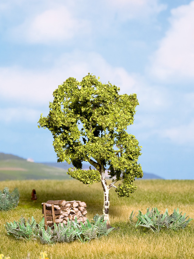 Noch 21640 Birch Tree 樺樹