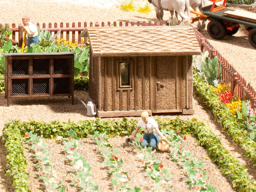 Noch 14109 HO規 Orchard 果園