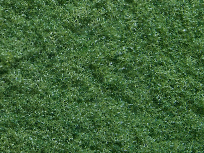 Noch 07351 10g Structured Flock bright green, coarse 綠色草纖維