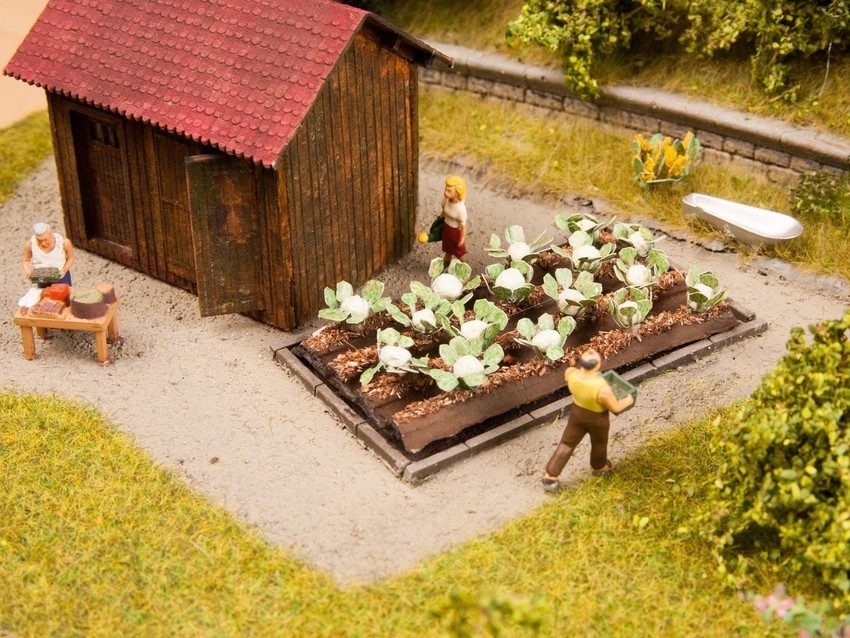 Noch 13216 HO規 Cauliflower 花椰菜.16顆