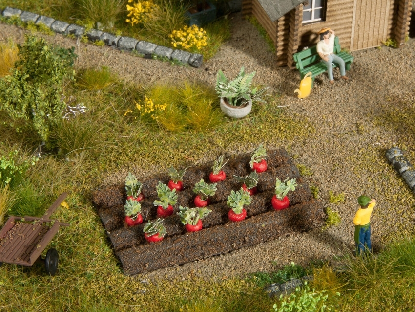 Noch 13221 HO規 Beetroots 甜菜.12顆