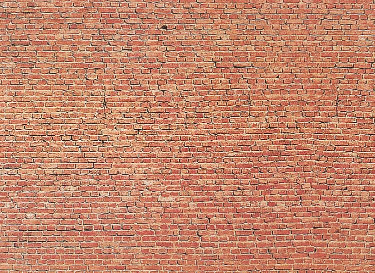 Faller 222559 N規 Wall card Tunnel 隧道牆卡